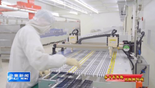 科技引領(lǐng)未來，創(chuàng)新驅(qū)動發(fā)展 計算機(jī)技術(shù)開發(fā)的浪潮與方向